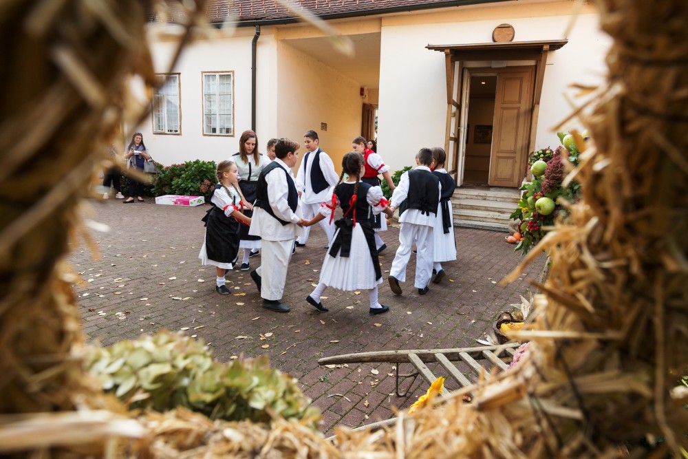 Cross-border fair “Z domačega vrta"